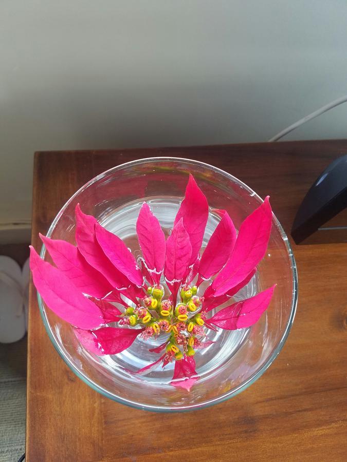 Lam Phan Hotel Villa 달랏 외부 사진