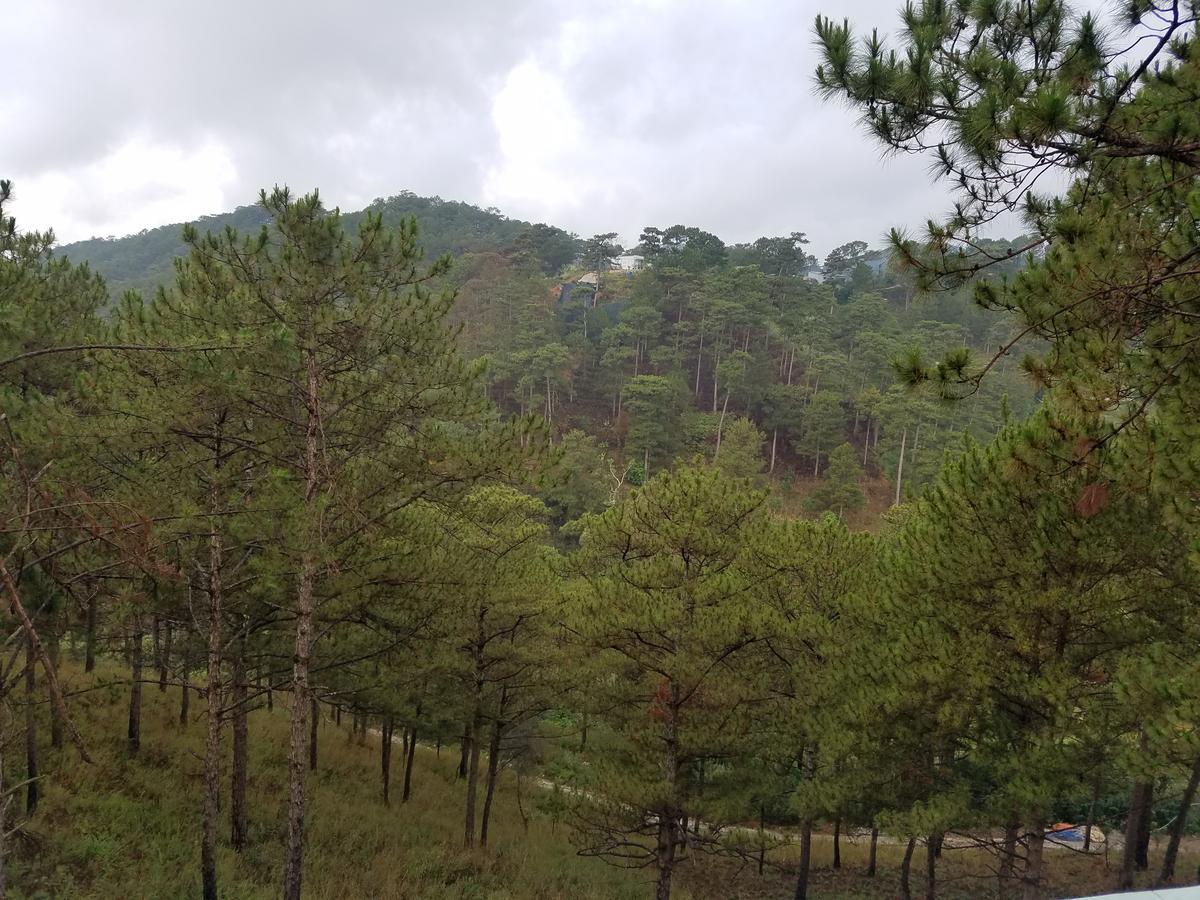 Lam Phan Hotel Villa 달랏 외부 사진